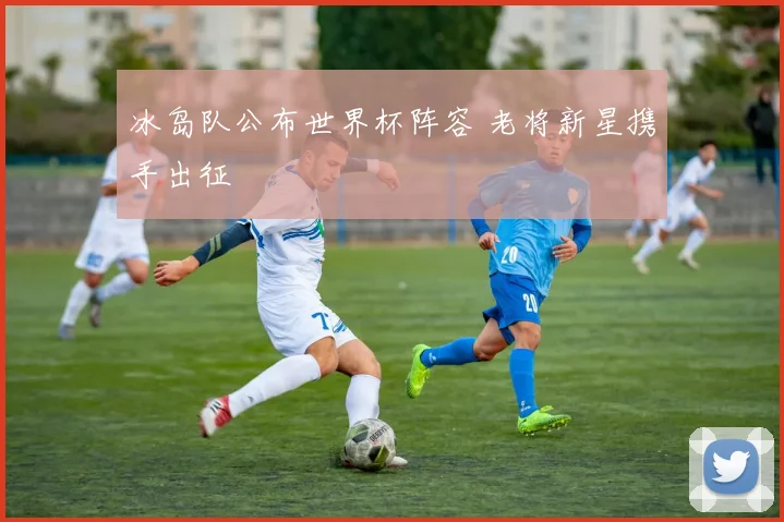 冰岛队公布世界杯阵容 老将新星携手出征